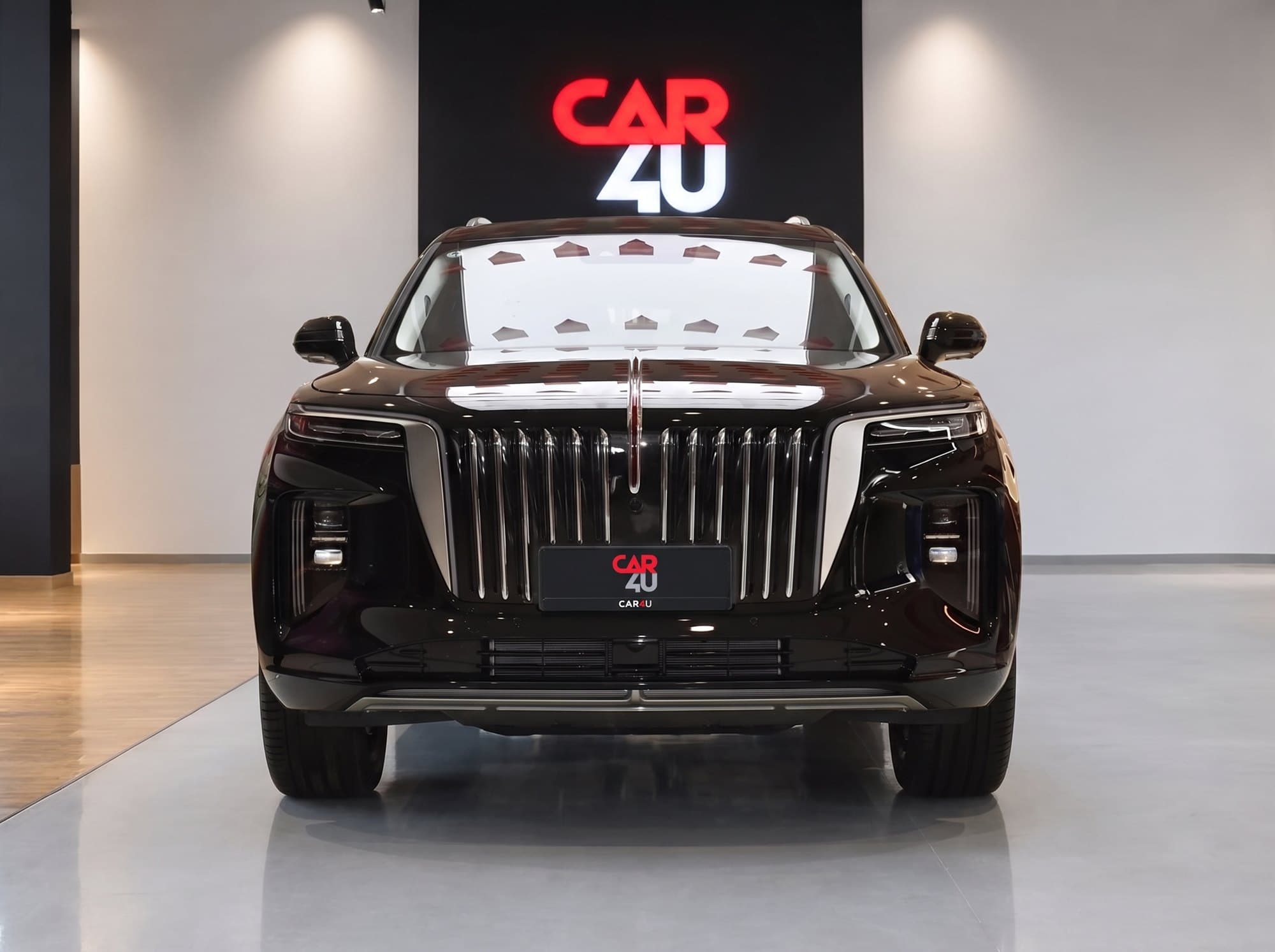 Hongqi E-HS9 Executive LR — 1